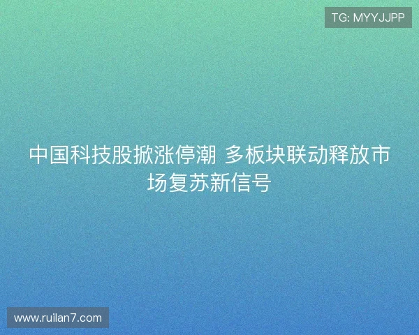 中国科技股掀涨停潮 多板块联动释放市场复苏新信号
